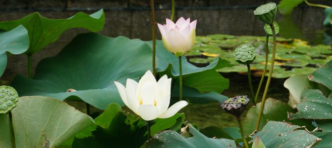 高山右近が求めた生き方とは何だろうか