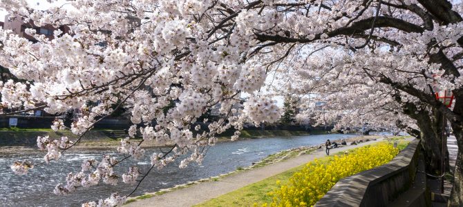 復活祭おめでとうございます。